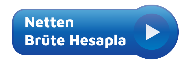 Netten Brüte Bordro Hesaplama Netten Brüte Bordro Hesaplama