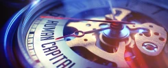 Entelektüel Sermaye Nedir? Entelektüel Sermaye Nedir?